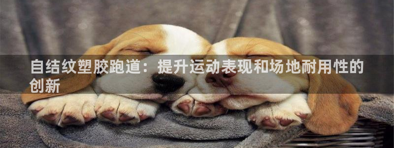 谈球吧(中国)官方网站：自结纹塑胶跑道：提升运动表现