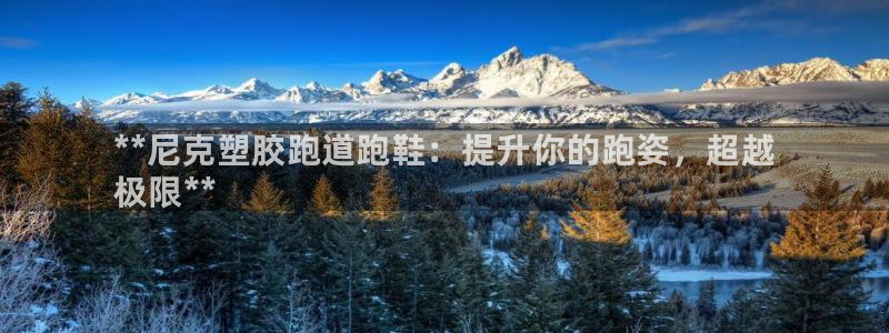 谈球吧平台正规吗可信吗知乎：**尼克塑胶跑道跑鞋：提
