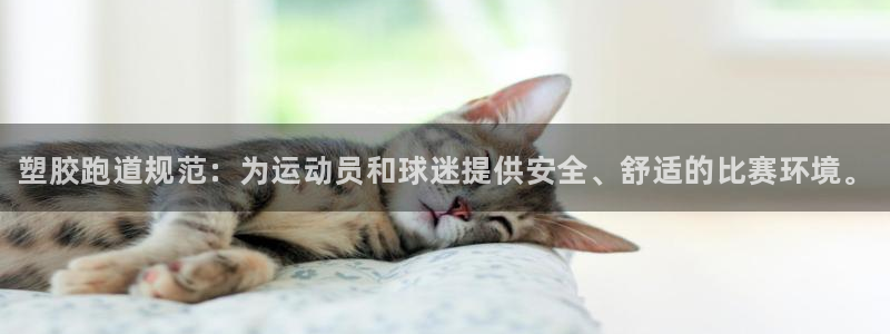 谈球吧网app官网下载