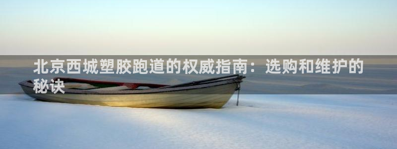 谈球吧体育app下载足球比赛：北京西城塑胶跑道的权威