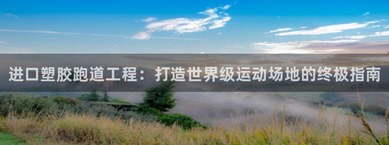 谈球吧平台正规吗可靠吗安全吗：进口塑胶跑道工程：打造