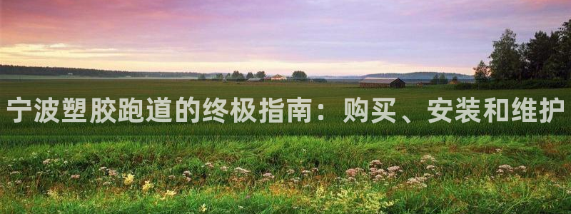 谈球吧黑款不：宁波塑胶跑道的终极指南：购买、安装和维