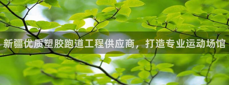 谈球吧买球提现：新疆优质塑胶跑道工程供应商，打造专业运动场馆