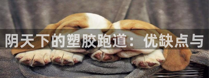 谈球吧登录网：阴天下的塑胶跑道：优缺点与