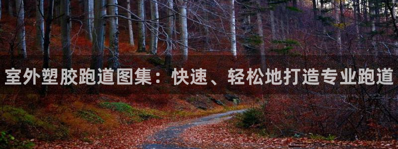 谈球吧买球提现：室外塑胶跑道图集：快速、轻松地打造专