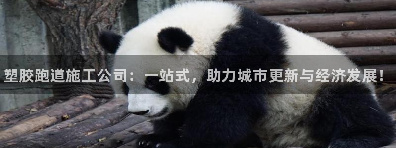 谈球吧官网在线入口手机版下载安装