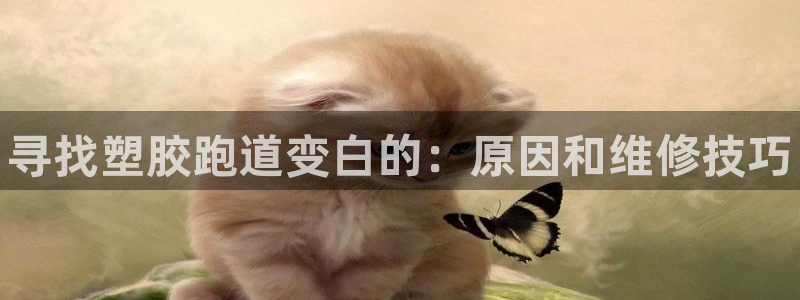 谈球吧平台正规吗可靠吗知乎：寻找塑胶跑道变白的：原因和维修技