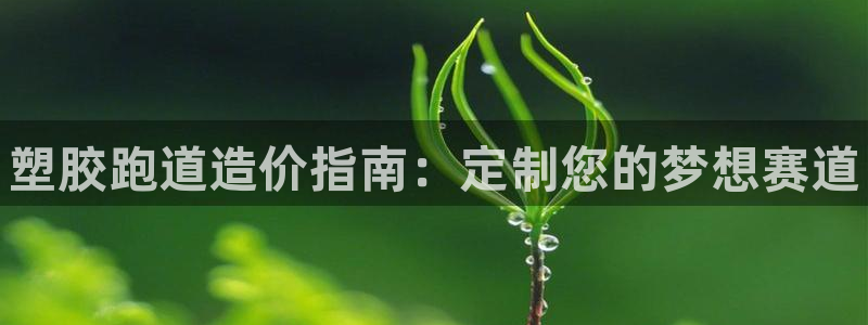 谈球吧能提现不：塑胶跑道造价指南：定制您的梦想赛道