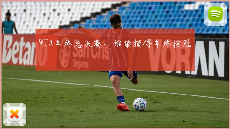 WTA年终总决赛,谁能摘得年终桂冠